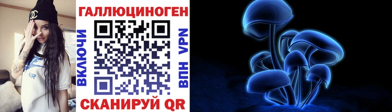 Псилоцибиновые грибы Psilocybe  Зеленодольск 